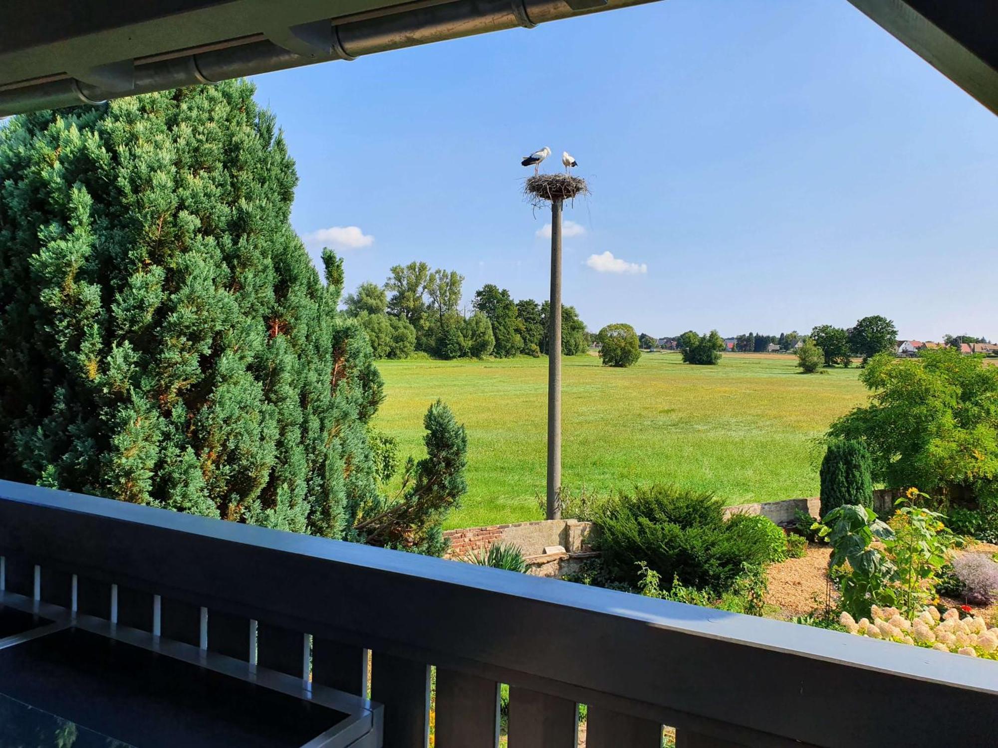 Doberschuetzer Hof Apartment Bautzen Phòng bức ảnh